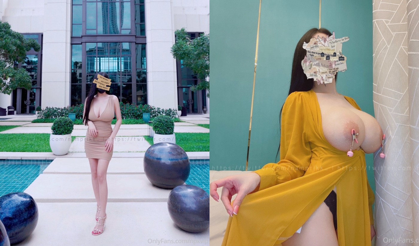 《究极核弹✅泄密》九头身极品巨乳OnlyFans反差女神Npxvip私拍，顶级骚货专用精盆细腰丰乳肥臀，男人泄欲神器