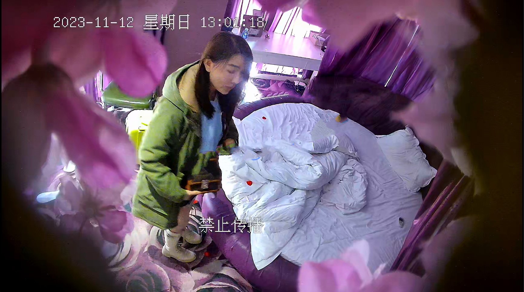 2023-11-11新流出安防精品❤️蛇精脸典型的绿茶婊拿着假阳具和按摩棒来和情人赴约打炮很不耐操哇哇叫