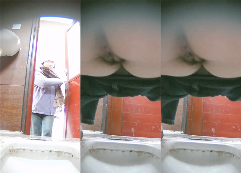 路边公园女厕全景偷拍多位路人小姐姐❤️各种小黑鲍完美展示