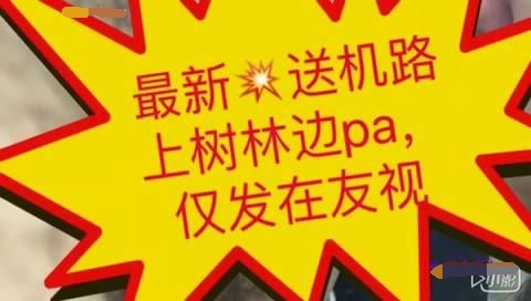 微博红人-何奕奕12.15-1.1日友视vip会员视频29v合集！950M