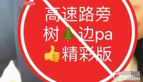 微博红人-何奕奕12.15-1.1日友视vip会员视频29v合集！950M